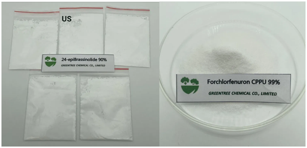 brassinolide ,CPPU (Forchlorfenuron KT-30)