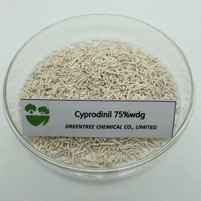 CAS-NR. 121552-61-2 Cyprodinil Fungicide 75 procent wdg 98 procent tc