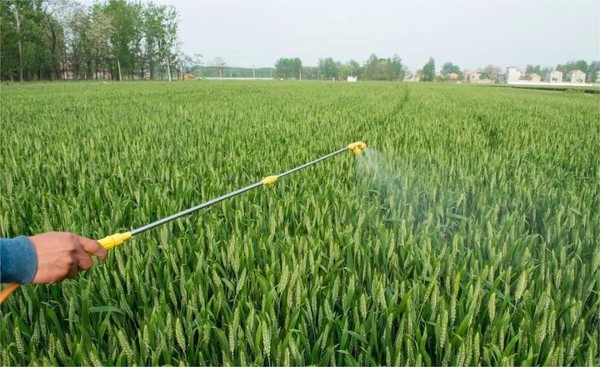 info-1080-661 info-1080-661