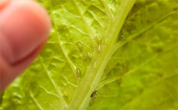 info-1023-632 info-1023-632