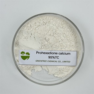 Plantengroeiregulator Prohexadion Calcium 95 procent Tc